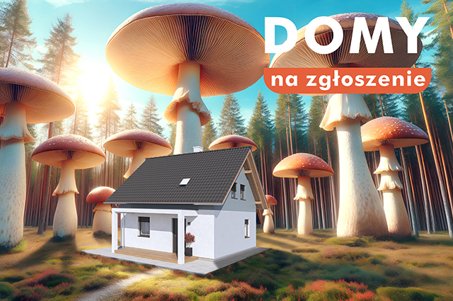 Nowe domy jesień 2025